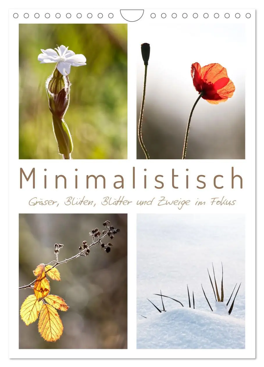 Cover: 9783516351637 | Minimalistisch, Gräser, Blüten, Blätter und Zweige im Fokus...