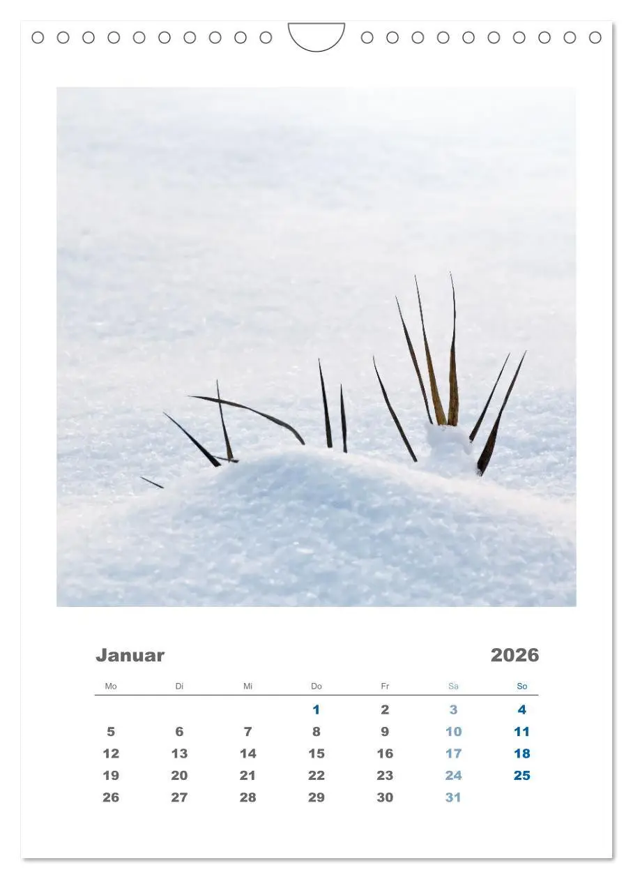 Bild: 9783516351637 | Minimalistisch, Gräser, Blüten, Blätter und Zweige im Fokus...