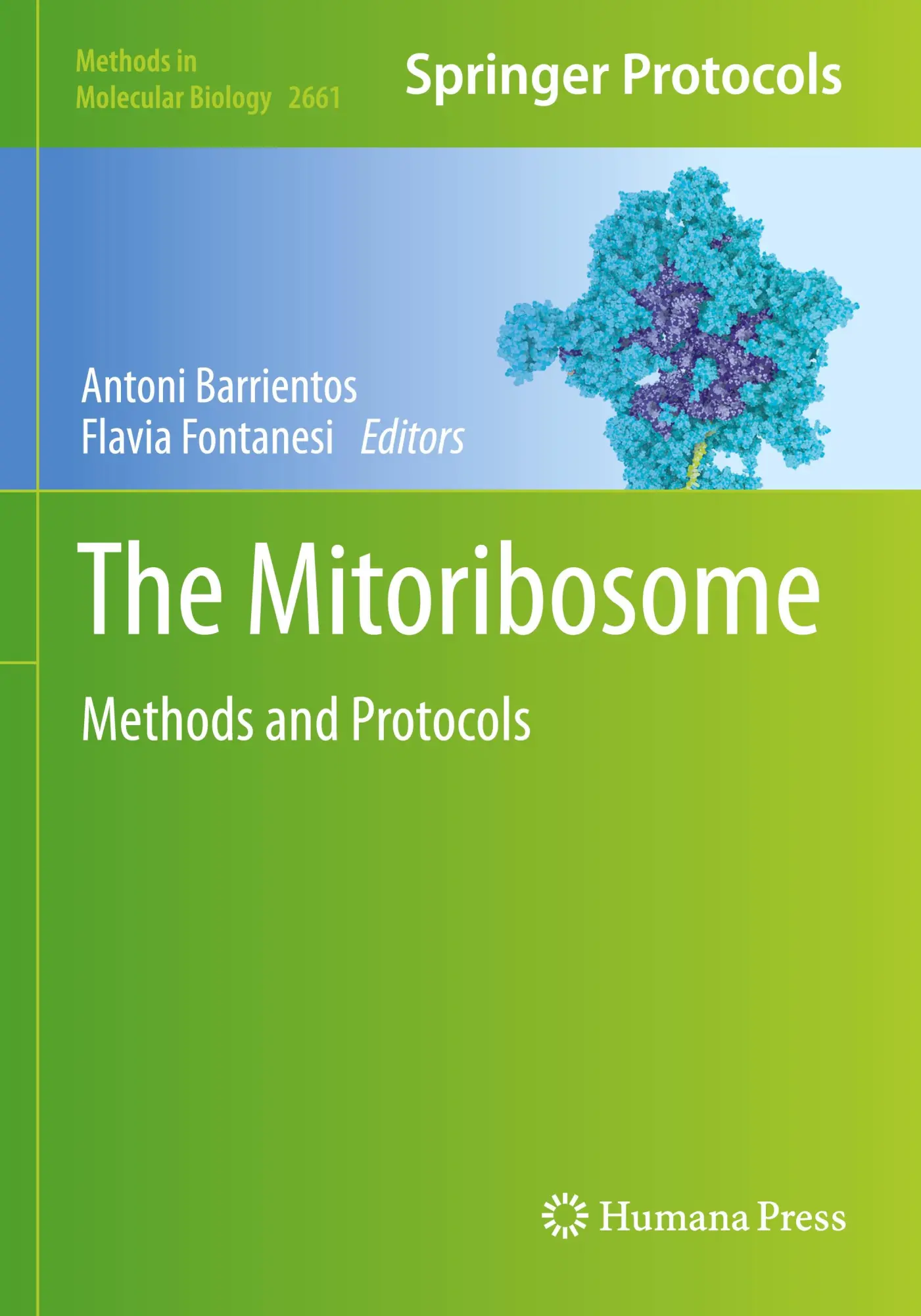 Cover: 9781071631737 | The Mitoribosome | Methods and Protocols | Antoni Barrientos (u. a.)