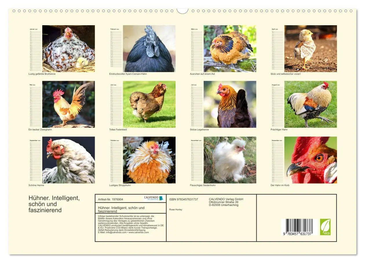 Bild: 9783457631737 | Hühner. Intelligent, schön und faszinierend (Wandkalender 2026 DIN...