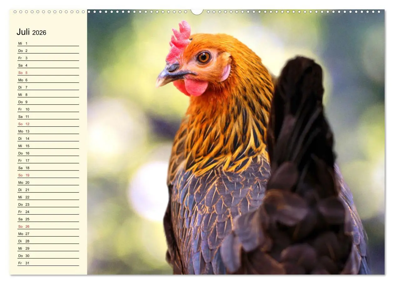 Bild: 9783457631737 | Hühner. Intelligent, schön und faszinierend (Wandkalender 2026 DIN...