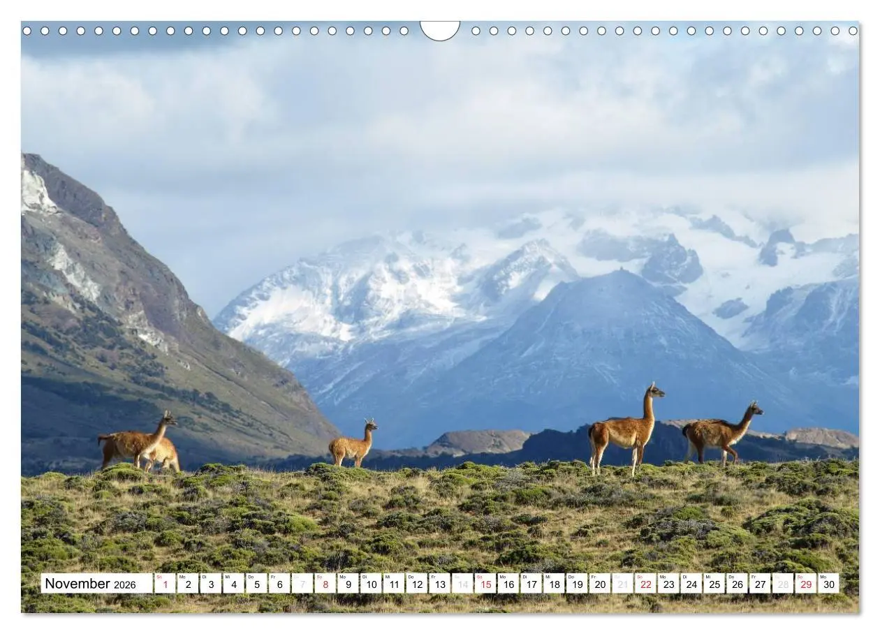 Bild: 9783516101737 | Zeit zum Träumen - Panamericana 2026 (Wandkalender 2026 DIN A3...