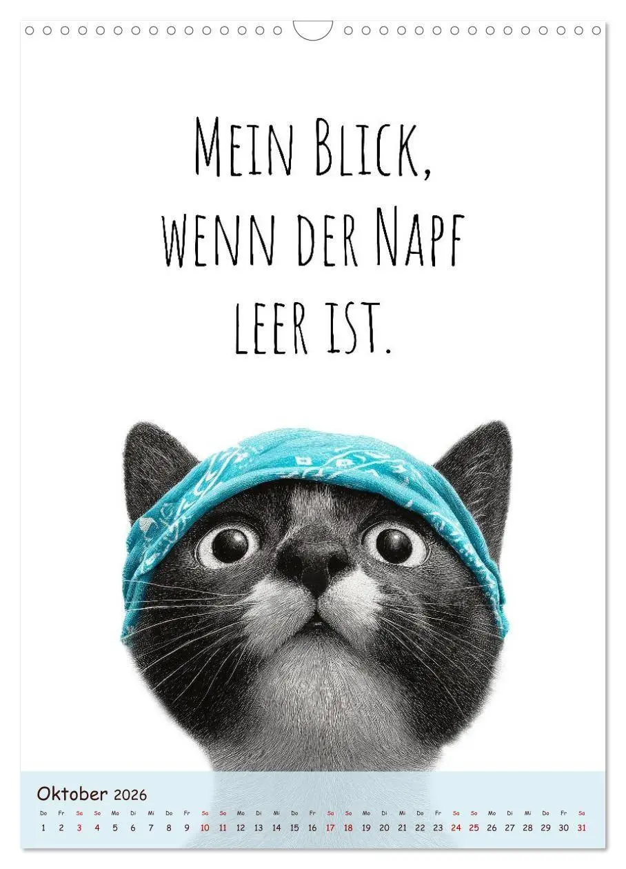 Bild: 9783516721737 | Katzenkult - Coolness auf vier Pfoten (Wandkalender 2026 DIN A3...