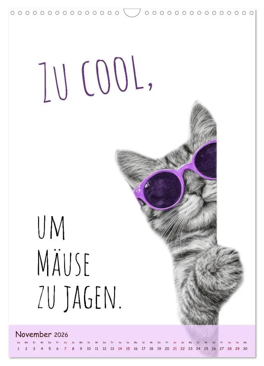 Bild: 9783516721737 | Katzenkult - Coolness auf vier Pfoten (Wandkalender 2026 DIN A3...