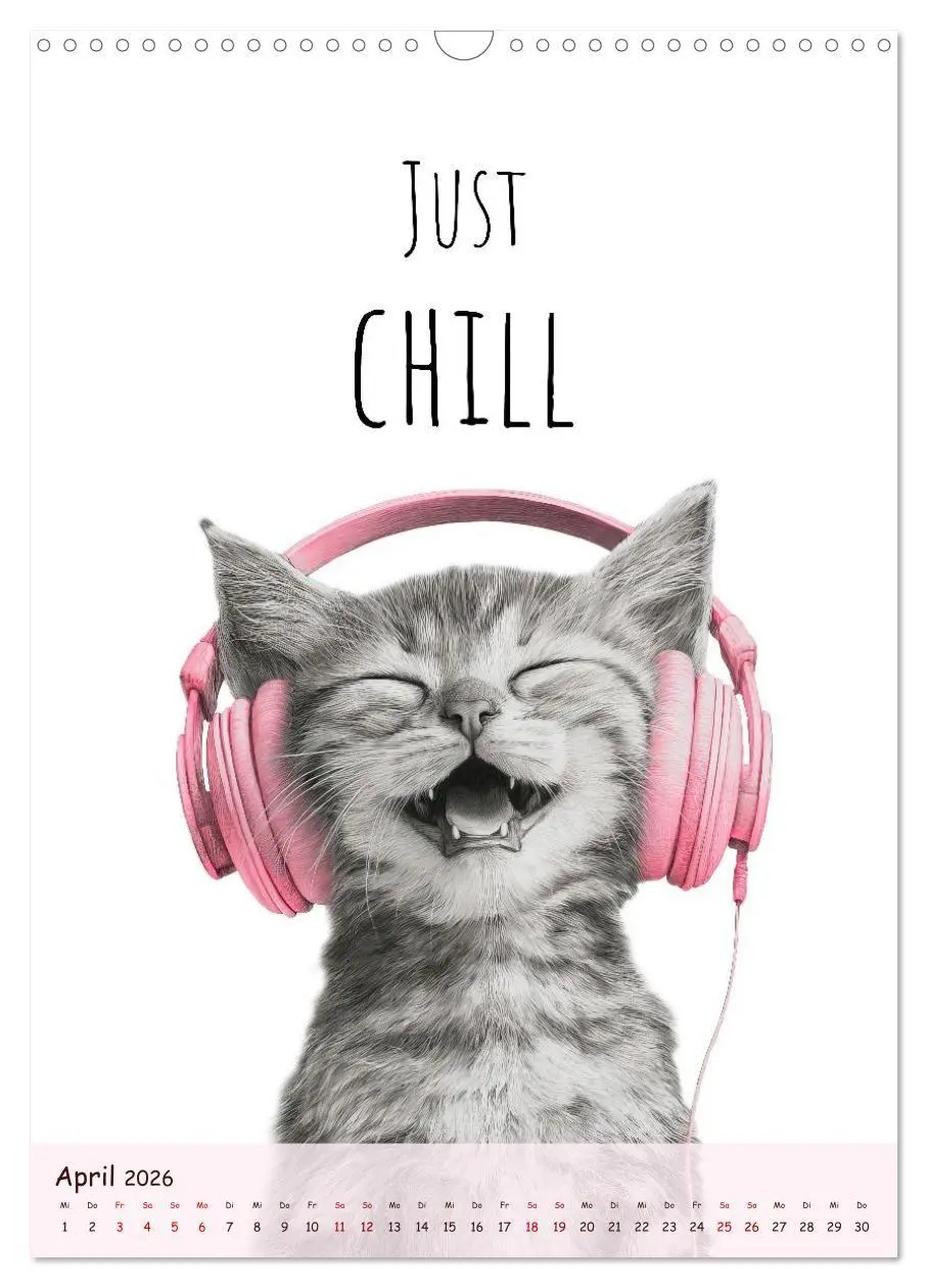 Bild: 9783516721737 | Katzenkult - Coolness auf vier Pfoten (Wandkalender 2026 DIN A3...