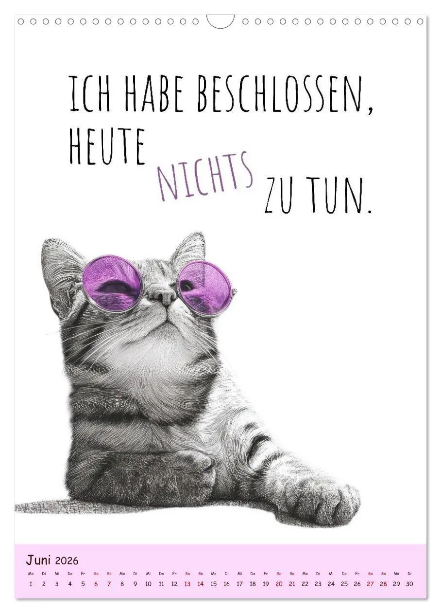 Bild: 9783516721737 | Katzenkult - Coolness auf vier Pfoten (Wandkalender 2026 DIN A3...