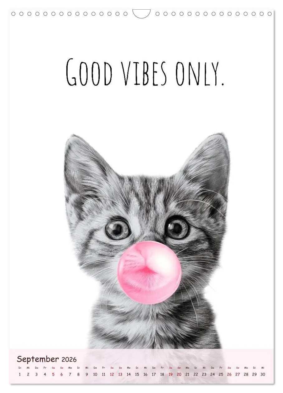 Bild: 9783516721737 | Katzenkult - Coolness auf vier Pfoten (Wandkalender 2026 DIN A3...