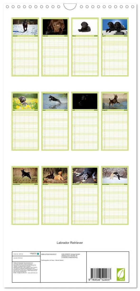 Bild: 9783516522037 | Familienplaner 2026 - Labrador Retriever mit 5 Spalten...