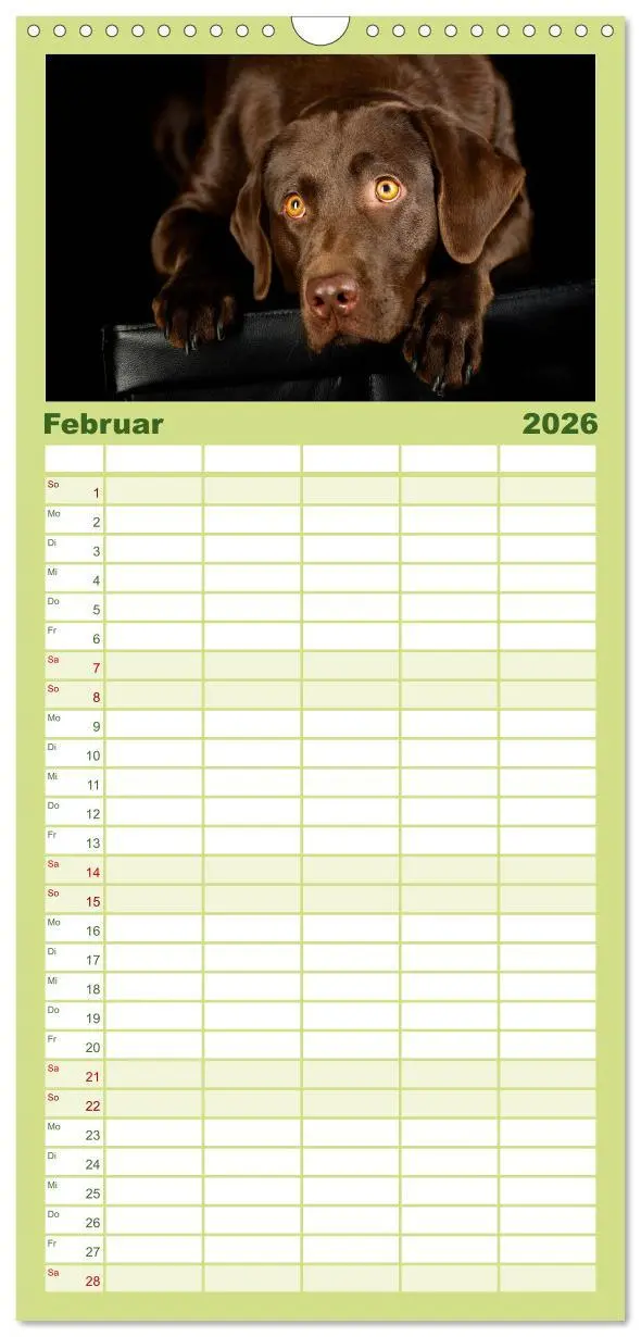Bild: 9783516522037 | Familienplaner 2026 - Labrador Retriever mit 5 Spalten...