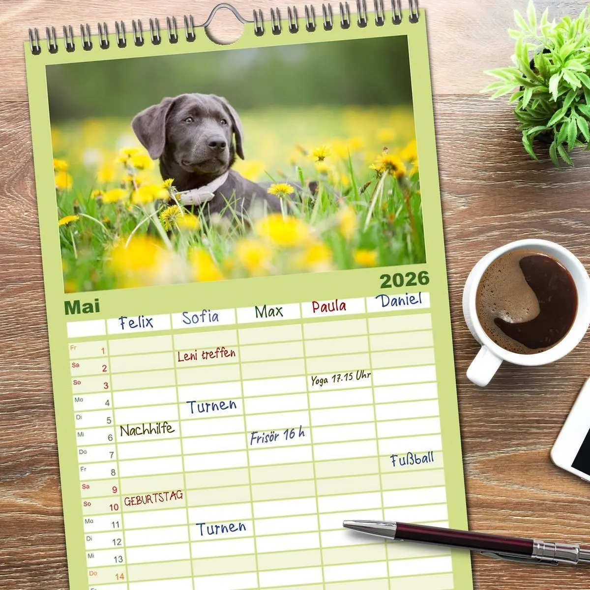 Bild: 9783516522037 | Familienplaner 2026 - Labrador Retriever mit 5 Spalten...