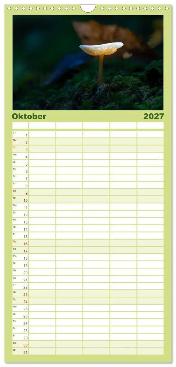 Bild: 9783594292037 | Familienplaner 2027 - Wilde Pilze: Ein Kalender für...
