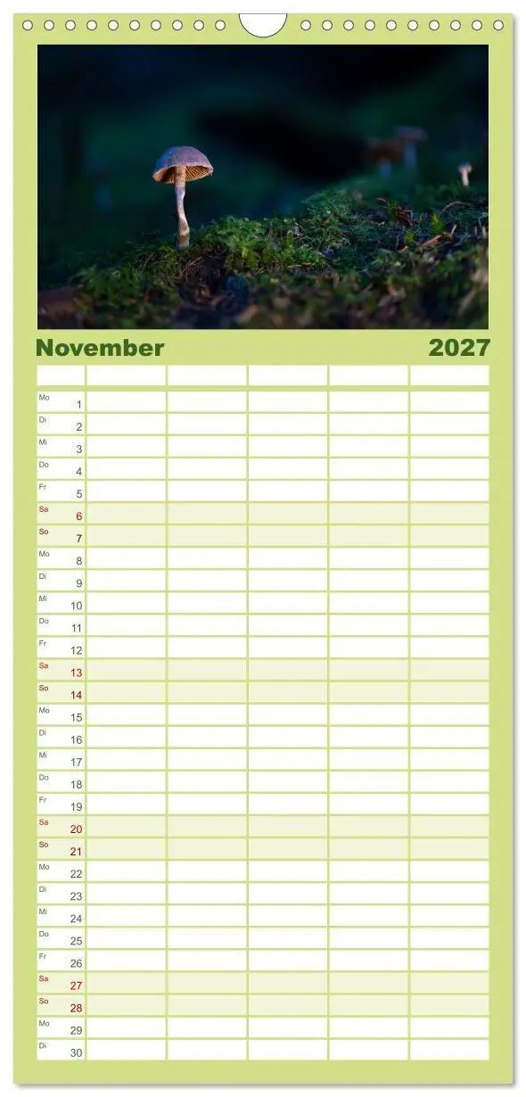Bild: 9783594292037 | Familienplaner 2027 - Wilde Pilze: Ein Kalender für...