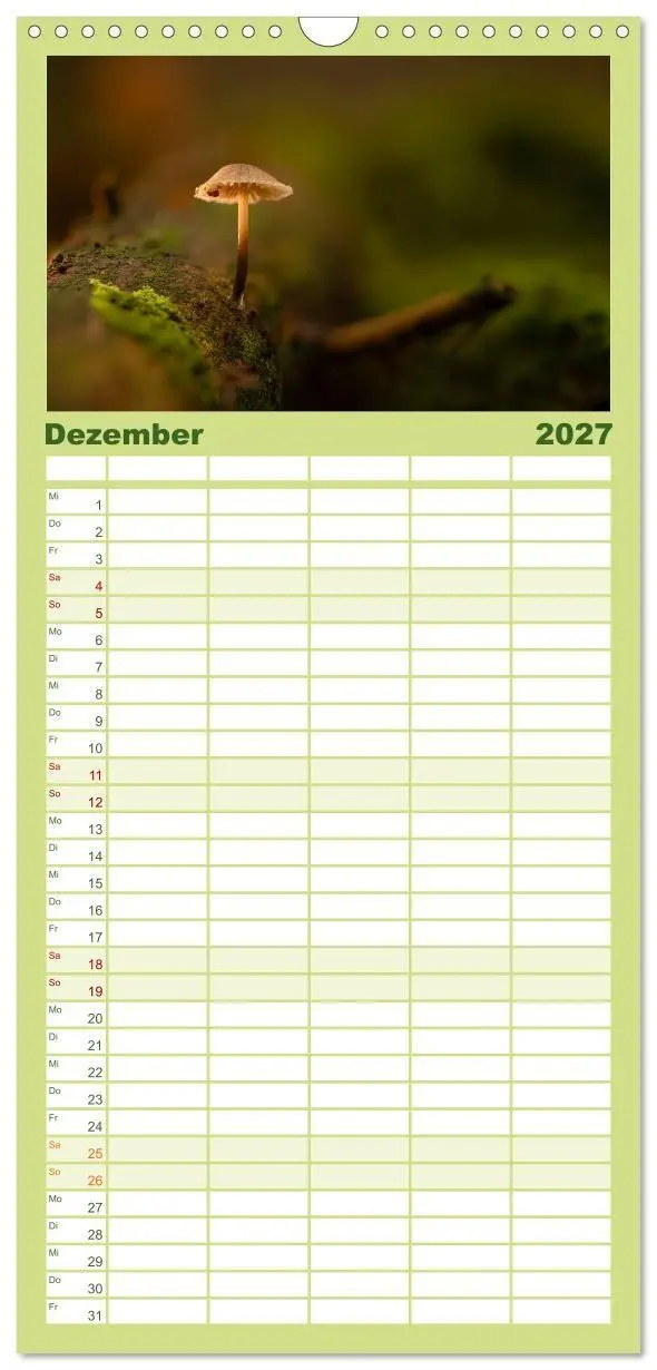 Bild: 9783594292037 | Familienplaner 2027 - Wilde Pilze: Ein Kalender für...