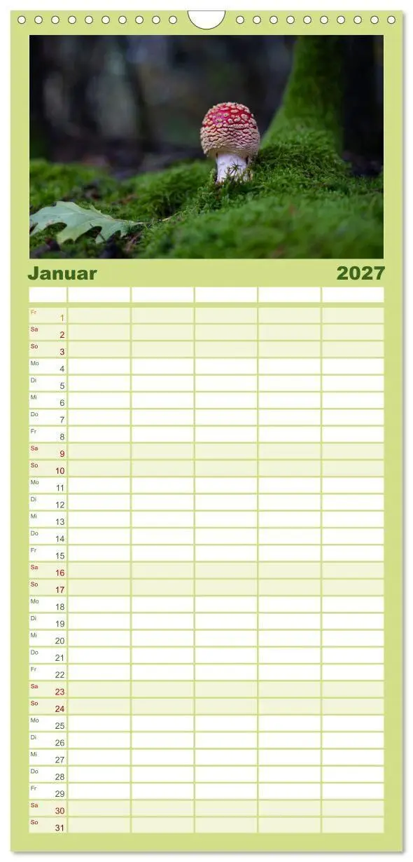Bild: 9783594292037 | Familienplaner 2027 - Wilde Pilze: Ein Kalender für...