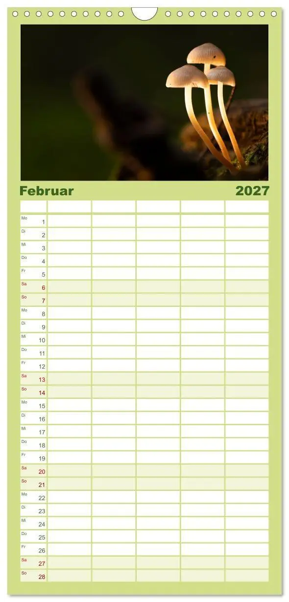 Bild: 9783594292037 | Familienplaner 2027 - Wilde Pilze: Ein Kalender für...