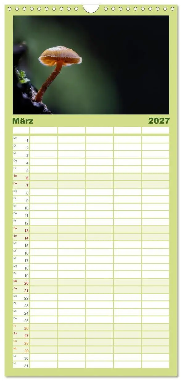Bild: 9783594292037 | Familienplaner 2027 - Wilde Pilze: Ein Kalender für...