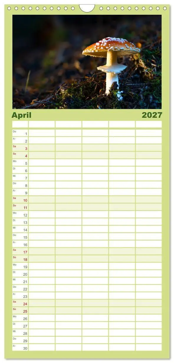 Bild: 9783594292037 | Familienplaner 2027 - Wilde Pilze: Ein Kalender für...