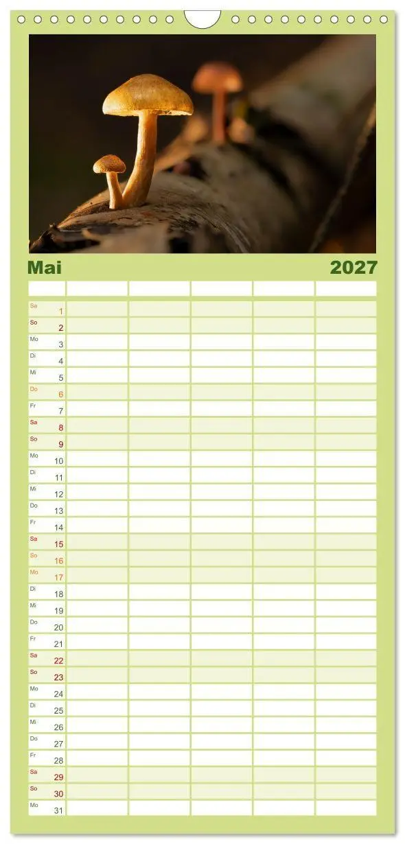 Bild: 9783594292037 | Familienplaner 2027 - Wilde Pilze: Ein Kalender für...