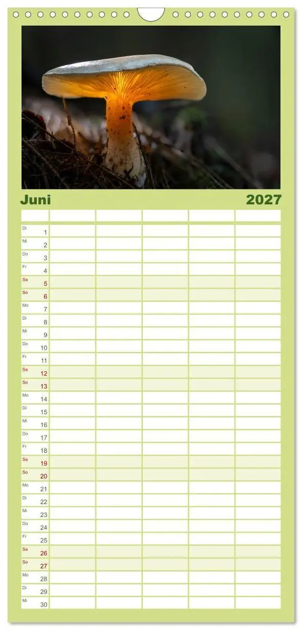 Bild: 9783594292037 | Familienplaner 2027 - Wilde Pilze: Ein Kalender für...