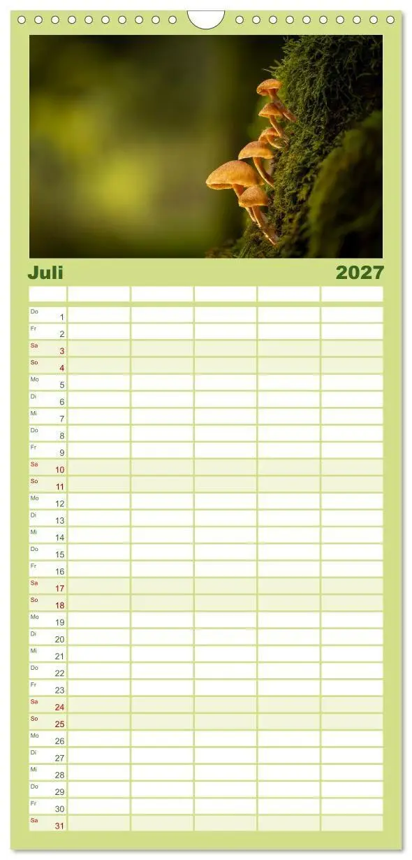 Bild: 9783594292037 | Familienplaner 2027 - Wilde Pilze: Ein Kalender für...