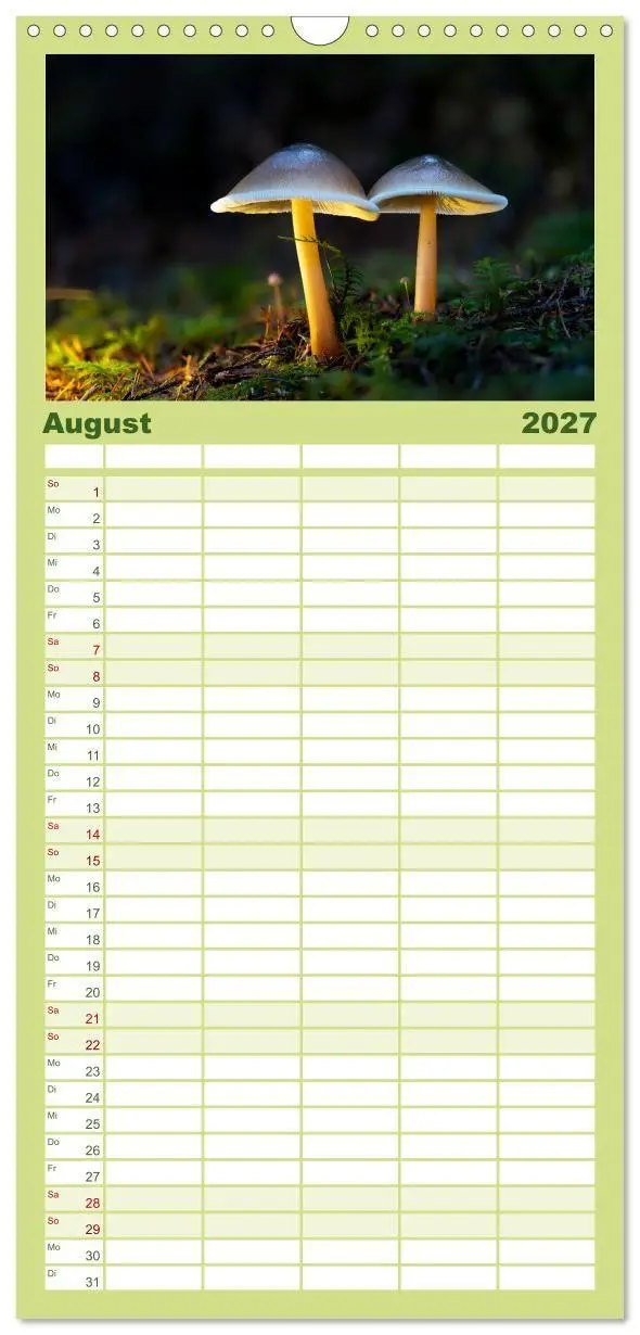 Bild: 9783594292037 | Familienplaner 2027 - Wilde Pilze: Ein Kalender für...