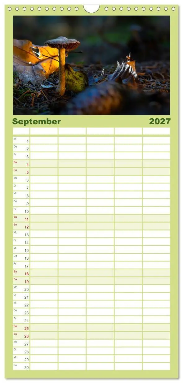 Bild: 9783594292037 | Familienplaner 2027 - Wilde Pilze: Ein Kalender für...