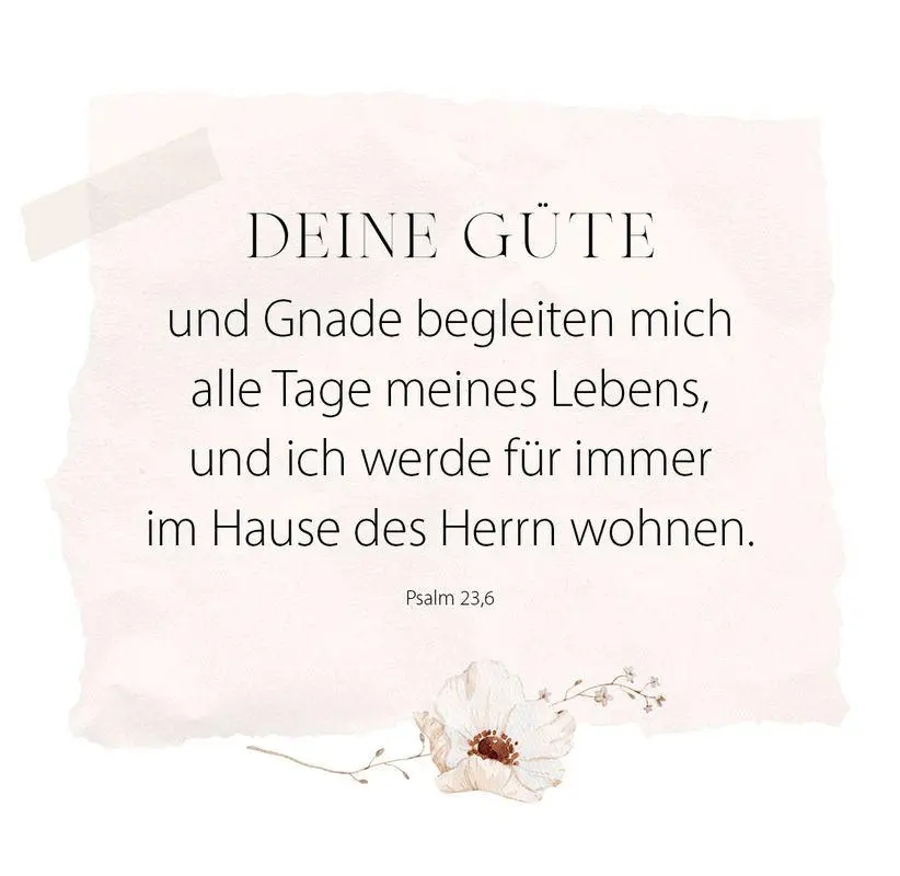 Bild: 9783986952037 | Du bist wunderbar und einzigartig - Aufstellbuch | Taschenbuch | 56 S.