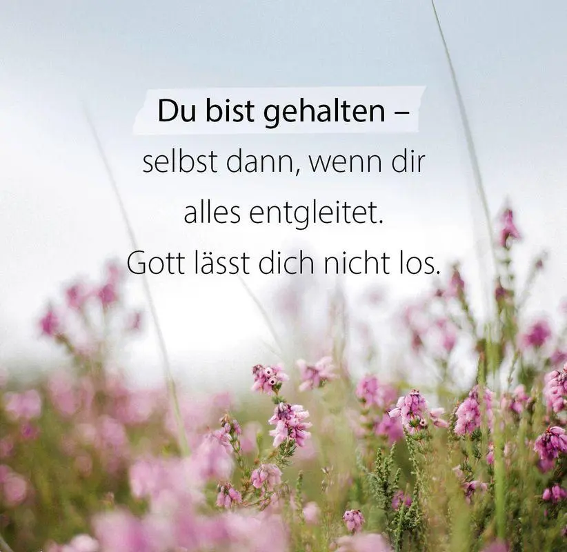 Bild: 9783986952037 | Du bist wunderbar und einzigartig - Aufstellbuch | Taschenbuch | 56 S.