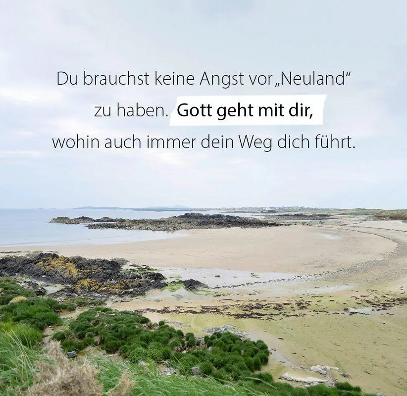 Bild: 9783986952037 | Du bist wunderbar und einzigartig - Aufstellbuch | Taschenbuch | 56 S.