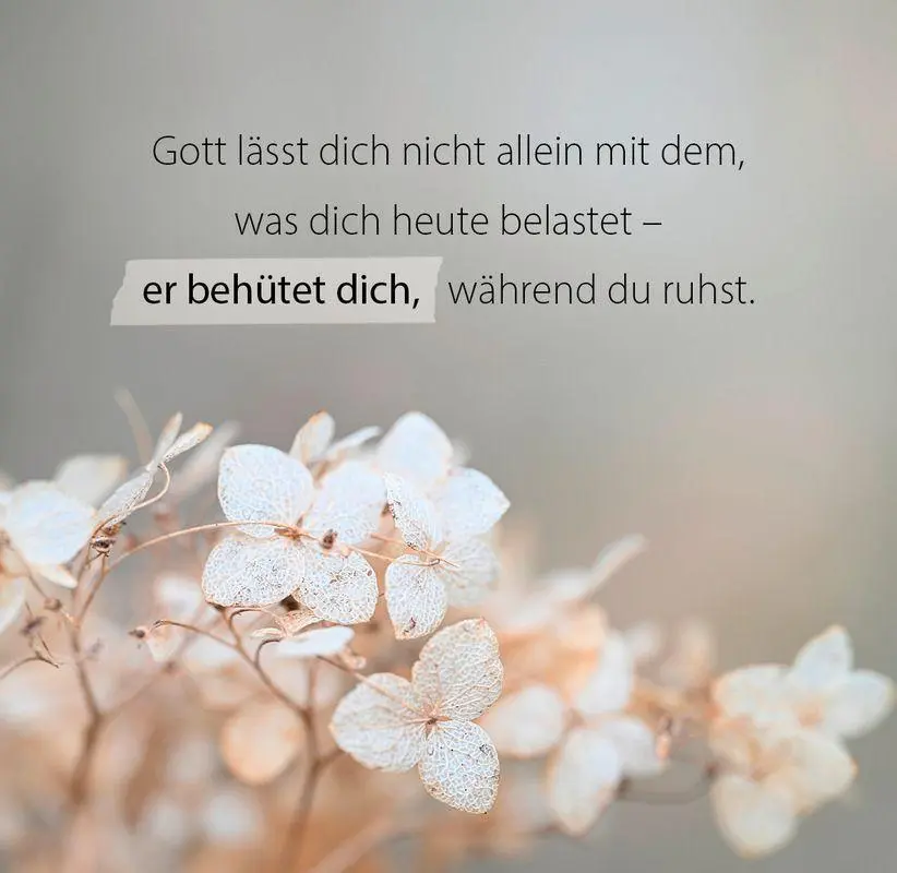 Bild: 9783986952037 | Du bist wunderbar und einzigartig - Aufstellbuch | Taschenbuch | 56 S.