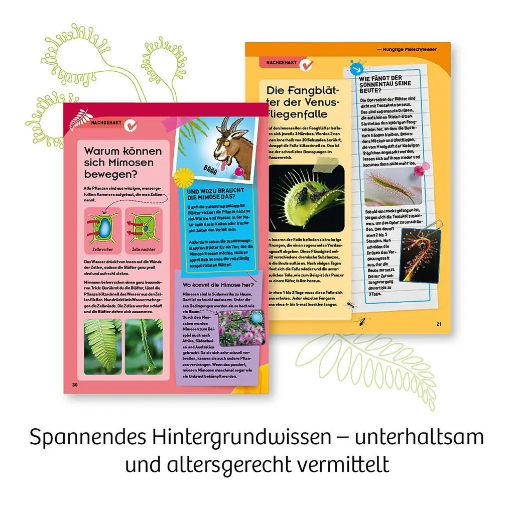 Bild: 4002051632137 | Fleischfressende Pflanzen | Experimentierkasten | Spiel | 632137