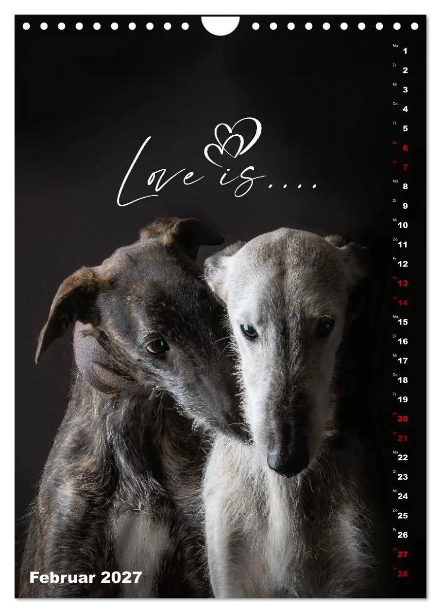 Bild: 9783569532137 | dogmuse deluxe (Wandkalender 2027 DIN A4 hoch), CALVENDO...