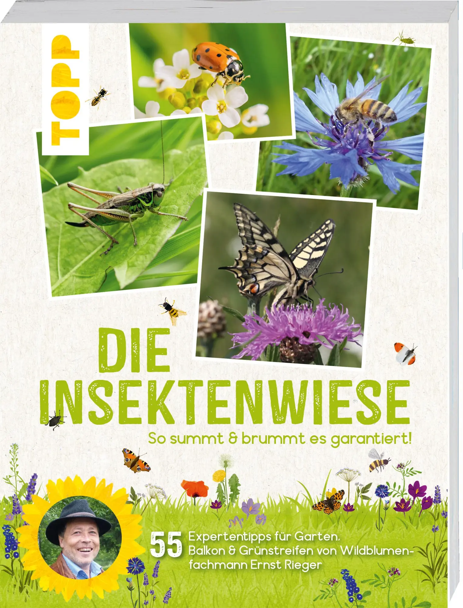 Cover: 9783735852137 | Die Insektenwiese: So summt &amp; brummt es garantiert! | Ernst Rieger