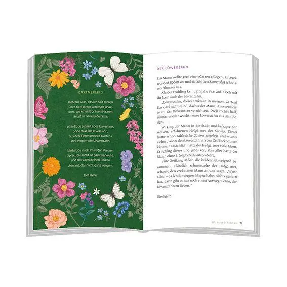 Bild: 9783987002137 | Zwischen Rüben und Kraut in den Himmel geschaut | Buch | 112 S. | 2026