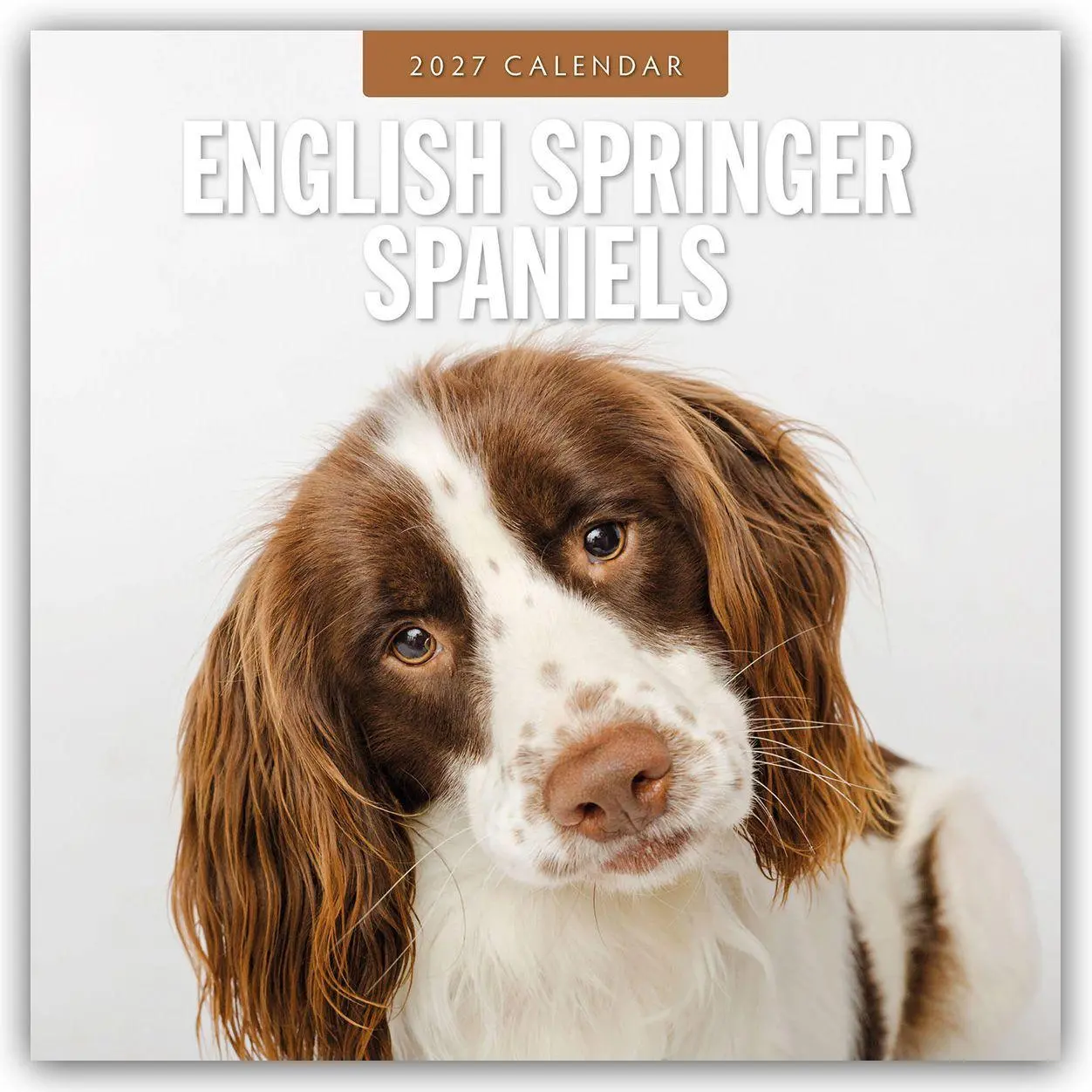 Cover: 9781837012237 | English Springer Spaniels - Englisch Springer Spaniels 2027 -...