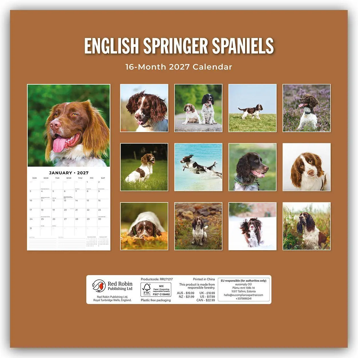 Rückseite: 9781837012237 | English Springer Spaniels - Englisch Springer Spaniels 2027 -...