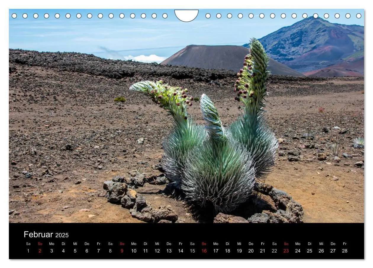 Bild: 9783435632237 | Paradiese der Erde - HAWAII (Wandkalender 2025 DIN A4 quer),...