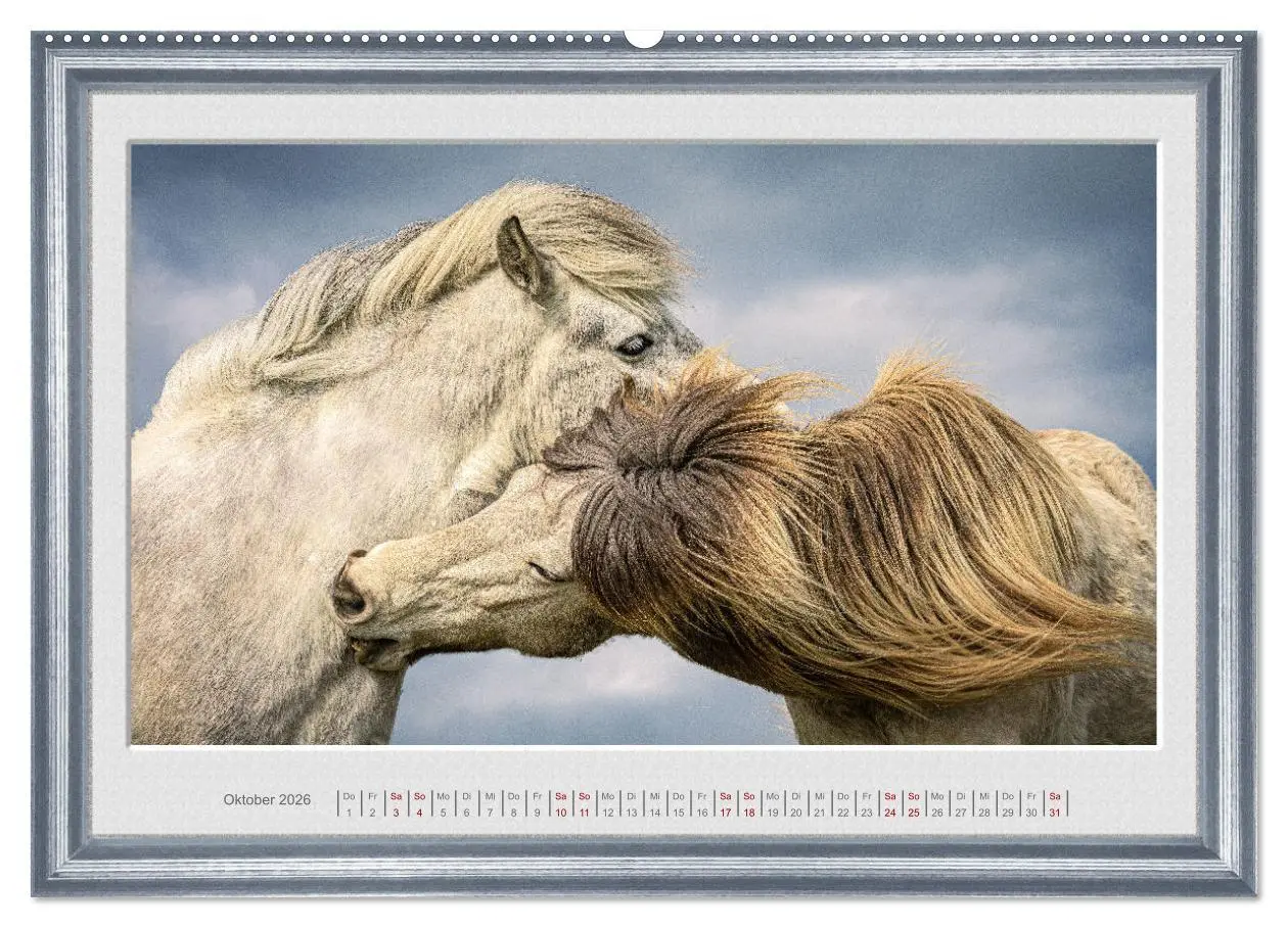 Bild: 9783457582237 | Ich bin ein Isländer (Wandkalender 2026 DIN A2 quer), CALVENDO...