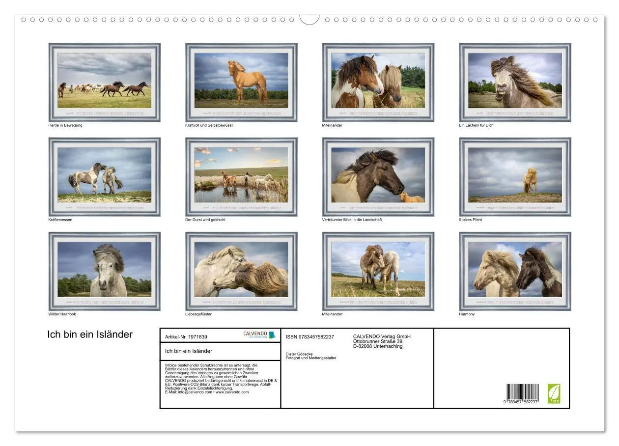 Bild: 9783457582237 | Ich bin ein Isländer (Wandkalender 2026 DIN A2 quer), CALVENDO...