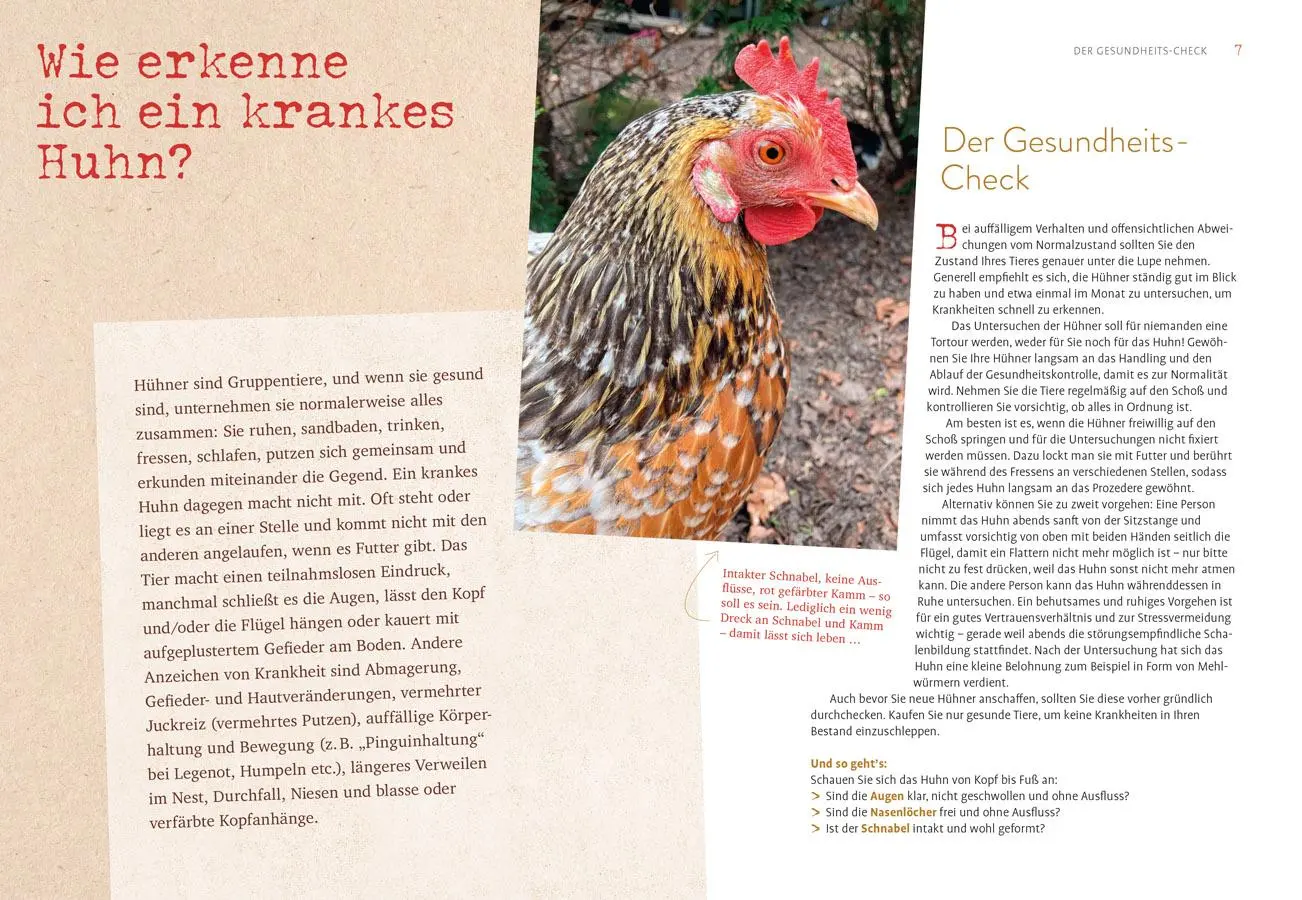 Bild: 9783818622237 | Hilfe, mein Huhn niest! | Katrin Sewerin | Taschenbuch | 128 S. | 2024