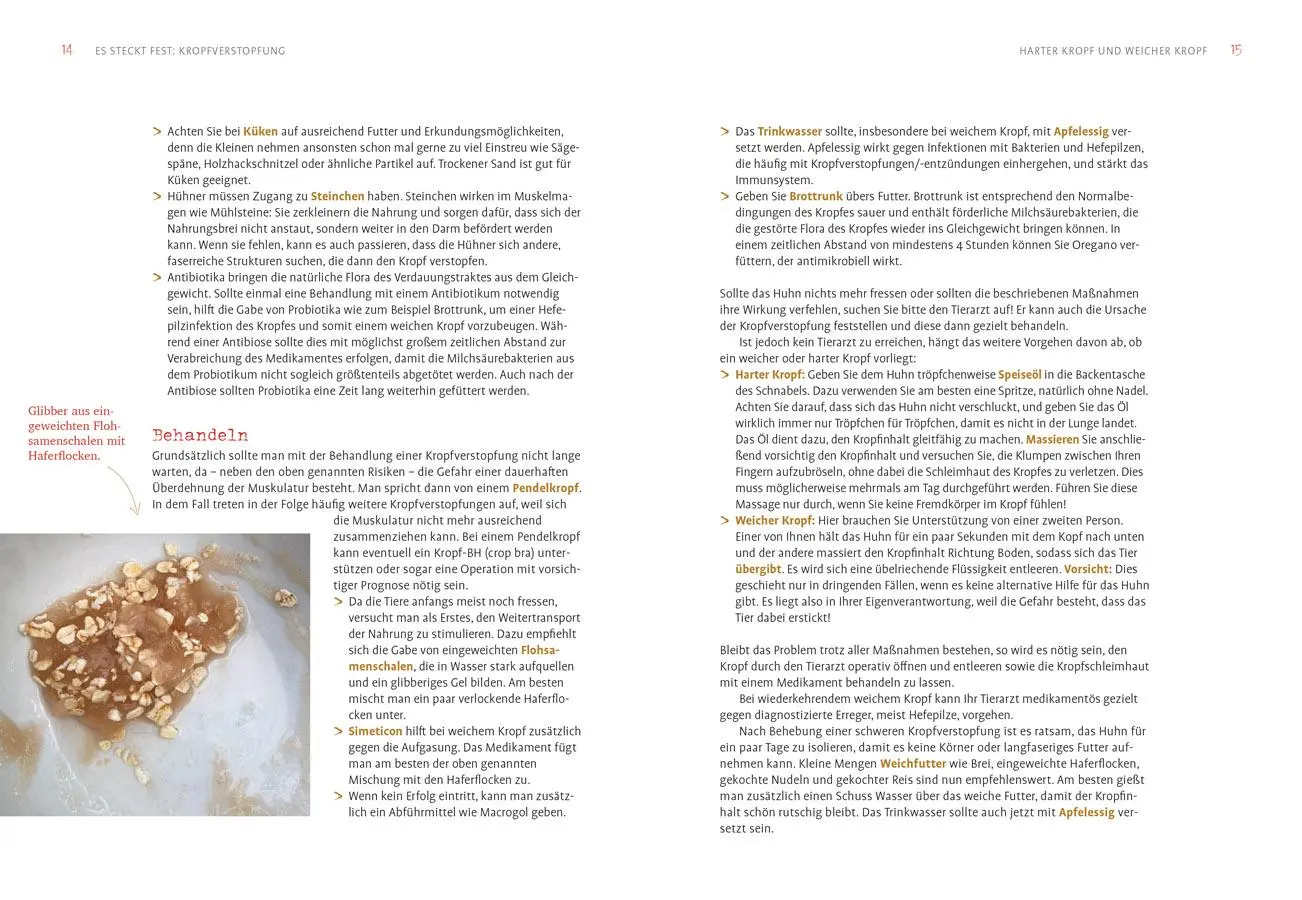 Bild: 9783818622237 | Hilfe, mein Huhn niest! | Katrin Sewerin | Taschenbuch | 128 S. | 2024