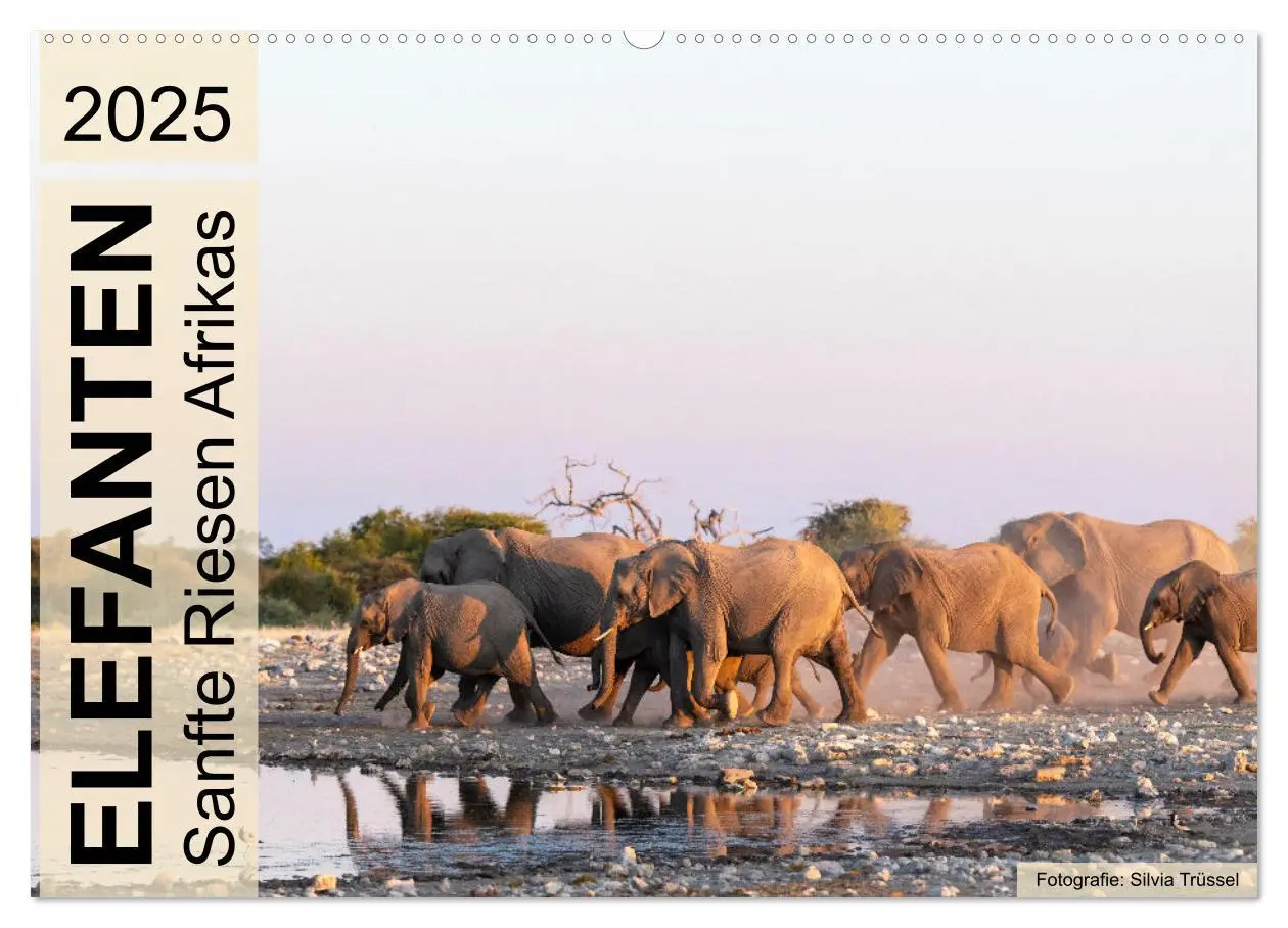 Cover: 9783435242337 | Elefanten - Sanfte Riesen Afrikas (Wandkalender 2025 DIN A2 quer),...