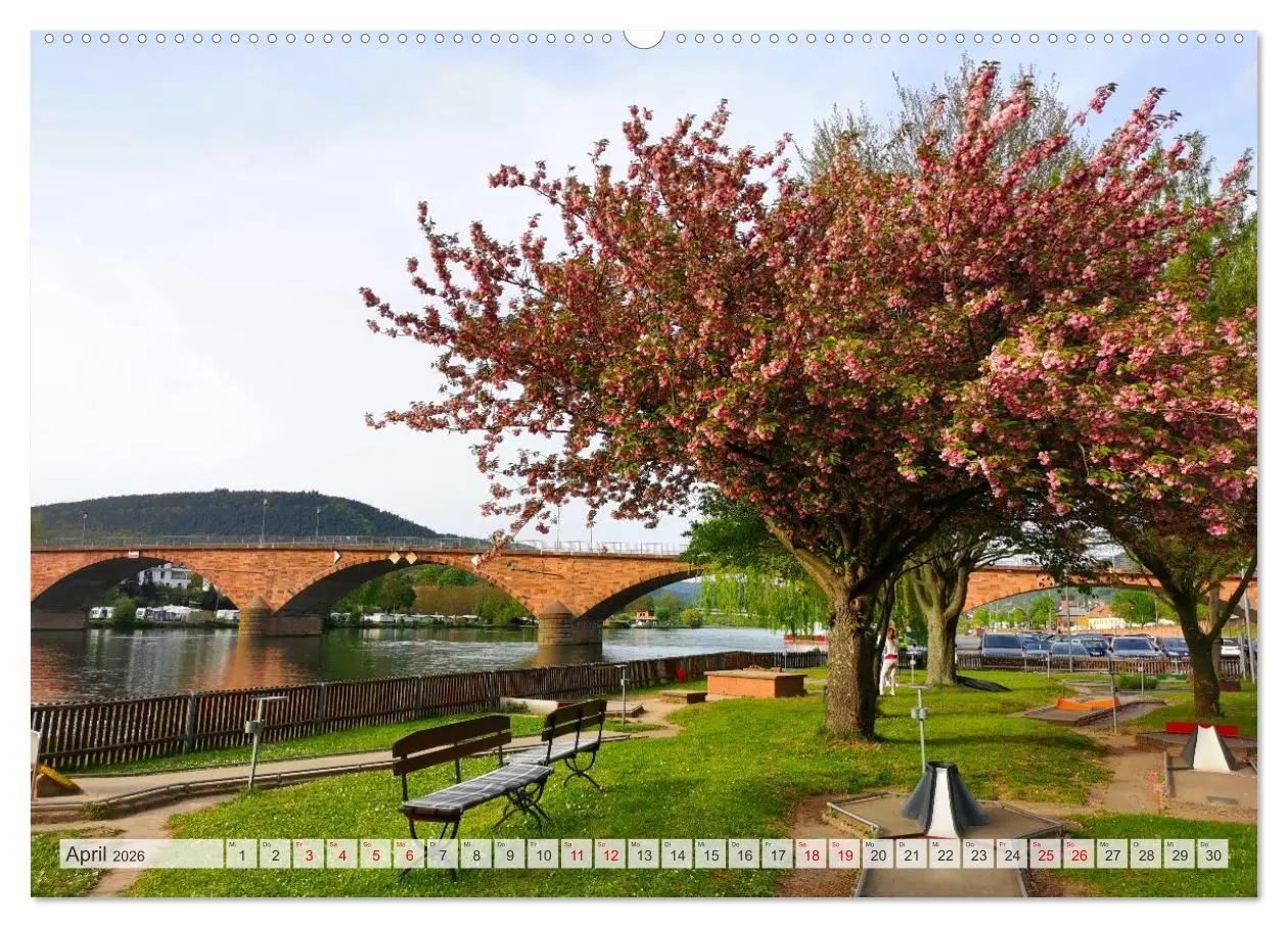 Bild: 9783457402337 | Miltenberg neu entdeckt (Wandkalender 2026 DIN A2 quer), CALVENDO...