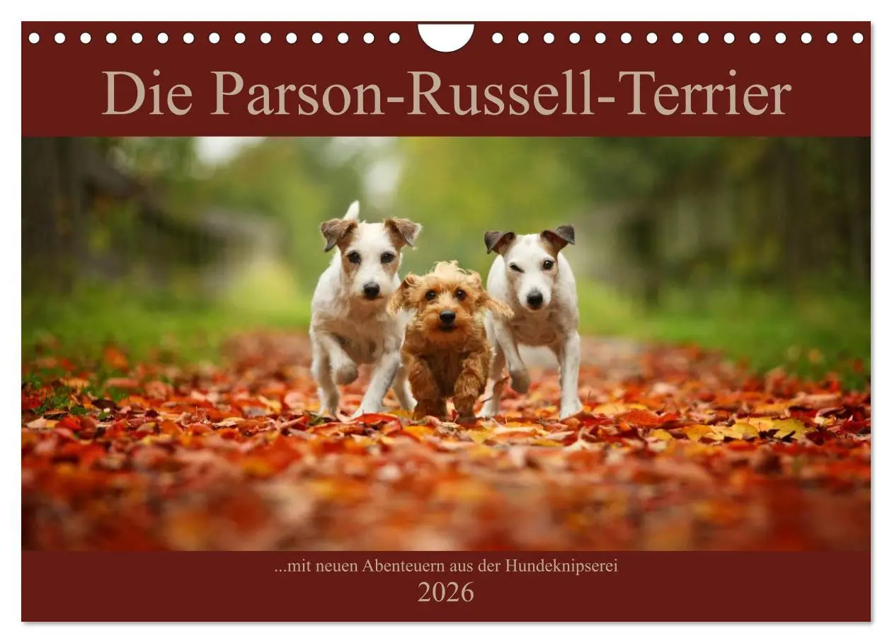 Cover: 9783457952337 | Die Parson-Russell-Terrier ...mit neuen Abenteuern aus der...