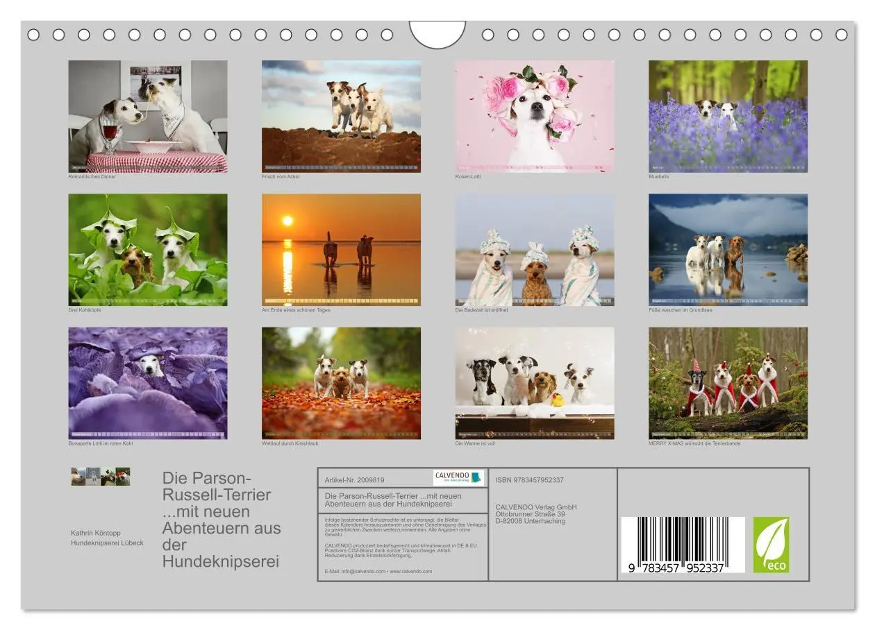 Bild: 9783457952337 | Die Parson-Russell-Terrier ...mit neuen Abenteuern aus der...