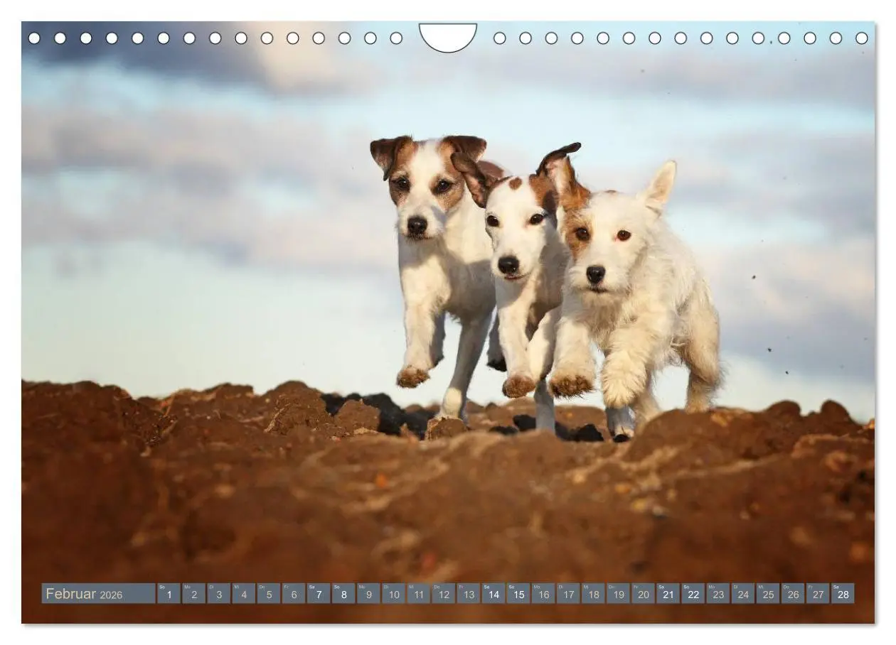 Bild: 9783457952337 | Die Parson-Russell-Terrier ...mit neuen Abenteuern aus der...
