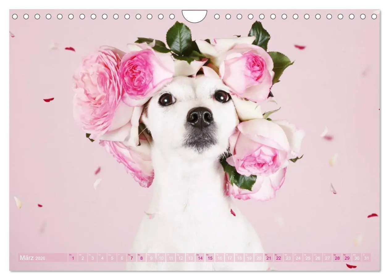 Bild: 9783457952337 | Die Parson-Russell-Terrier ...mit neuen Abenteuern aus der...