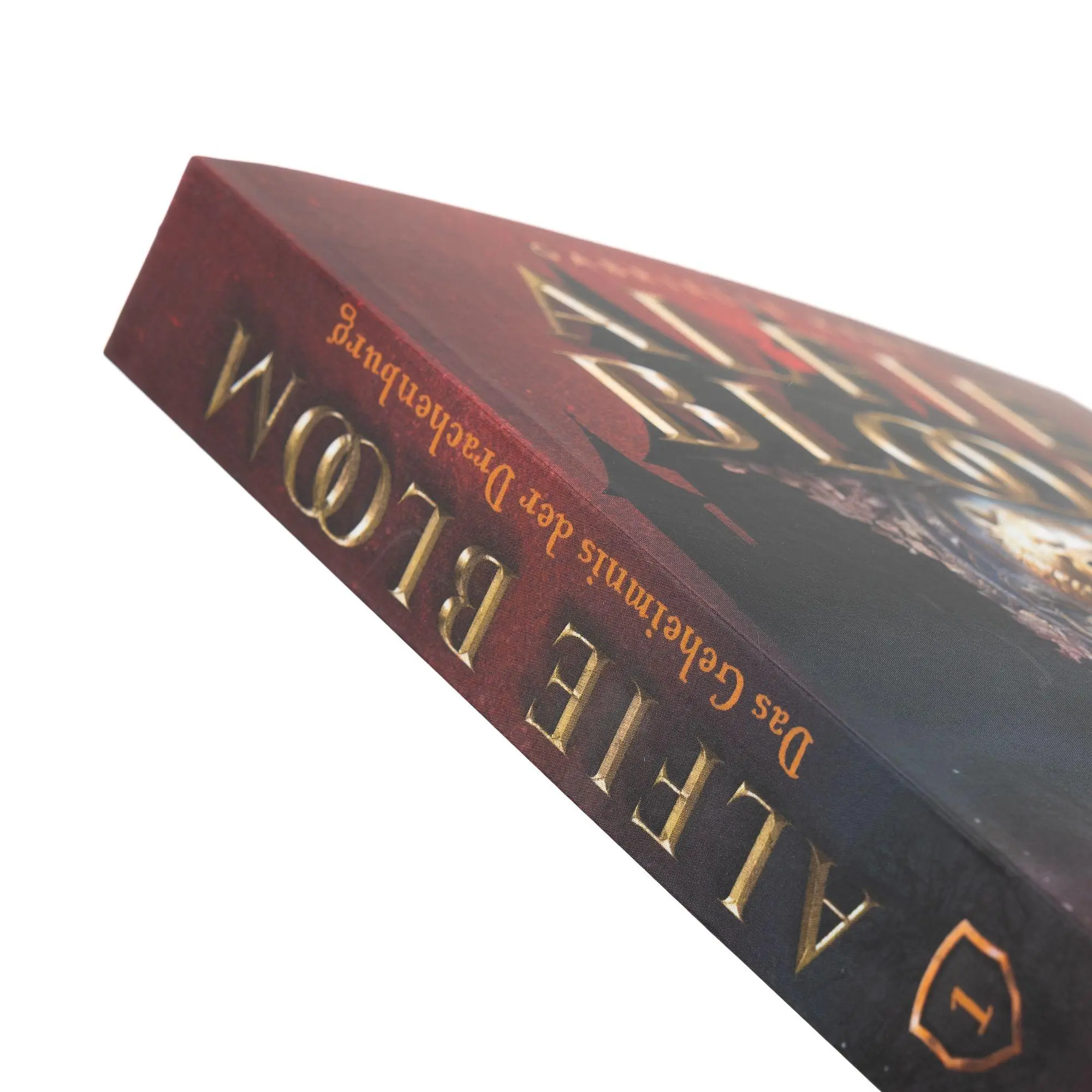 Bild: 9783505152337 | Alfie Bloom. Das Geheimnis der Drachenburg | Gabrielle Kent | Buch