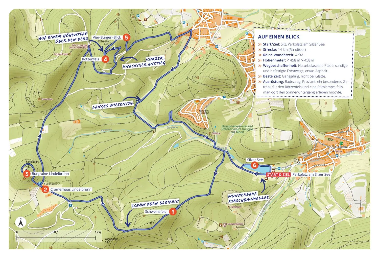 Bild: 9783616032337 | DUMONT Wanderzeit in der Pfalz | Thomas Diehl | Taschenbuch | 224 S.