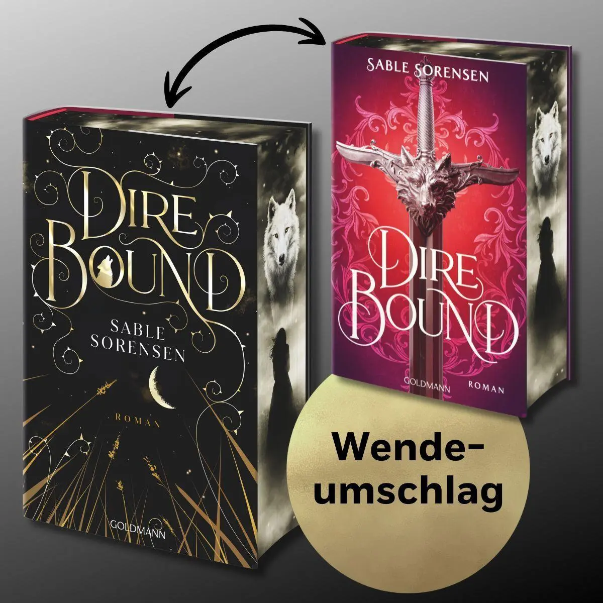 Bild: 9783442302437 | Dire Bound | Sable Sorensen | Buch | Die Wolves-of-Ruin Reihe | 832 S.